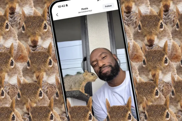 Come il papà scoiattolo più amato dal web ha creato un’app per fotocamere di successo
