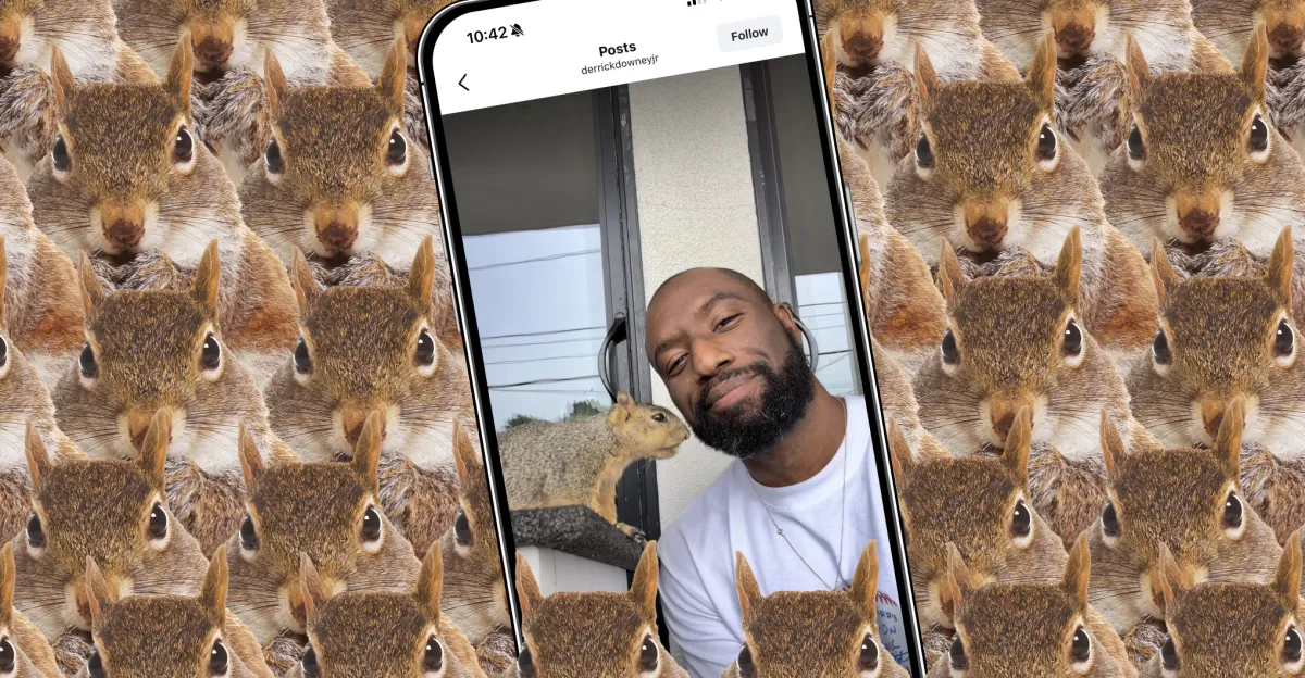Come il papà scoiattolo più amato dal web ha creato un’app per fotocamere di successo