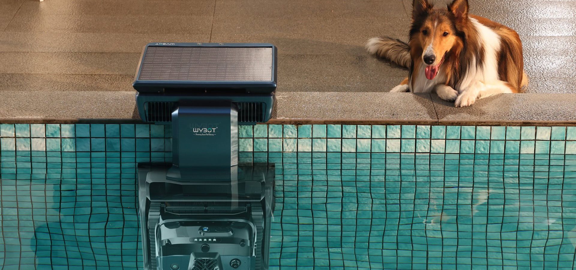 WYBOT S3: Il Primo Robot Pulitore di Piscina Autonomo che Si Pulisce e Si Ricarica da Solo