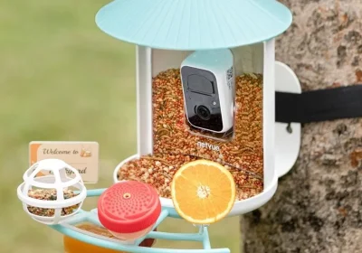 Il miglior prezzo mai visto per il mangiatoia intelligente Birdfy in occasione della Festa della Mamma!
