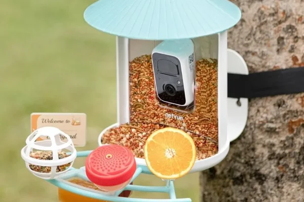 Il miglior prezzo mai visto per il mangiatoia intelligente Birdfy in occasione della Festa della Mamma!