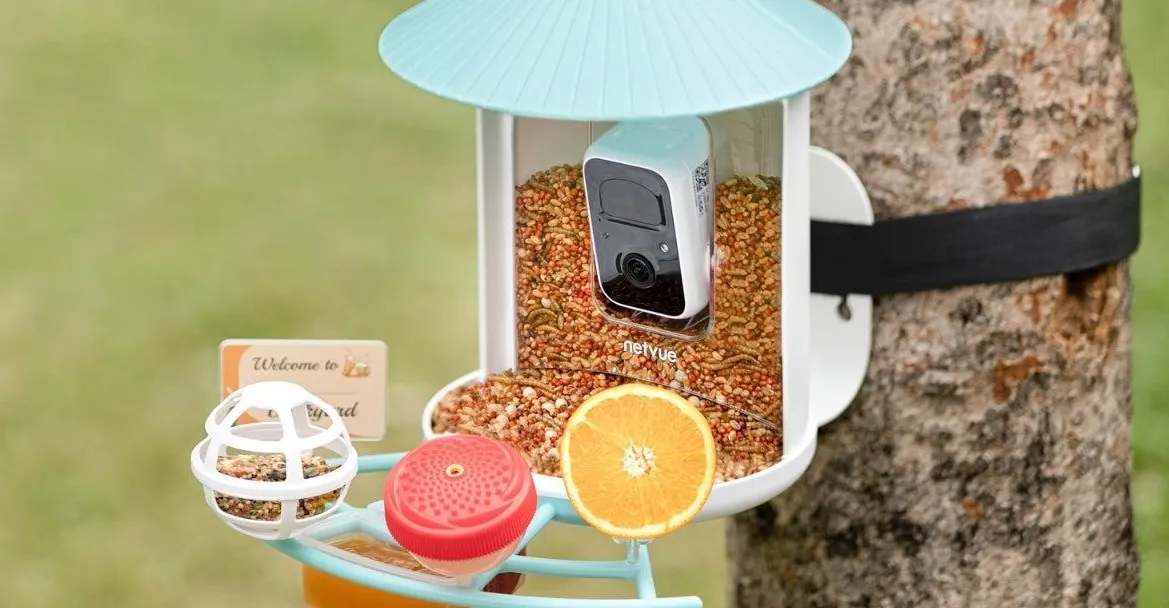 Il miglior prezzo mai visto per il mangiatoia intelligente Birdfy in occasione della Festa della Mamma!