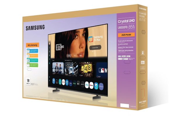 Dua Lipa denuncia Samsung per l’uso delle sue immagini sulle scatole delle TV