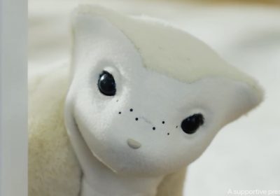 Il fondatore di Roomba presenta il robot da compagnia da accarezzare per la tua casa