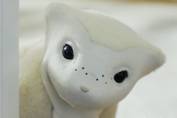 Il fondatore di Roomba presenta il robot da compagnia da accarezzare per la tua casa