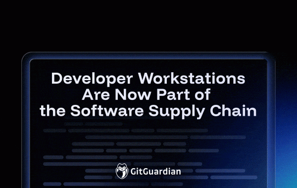 Le Workstation per Sviluppatori: Un Nuovo Elemento della Catena di Fornitura Software