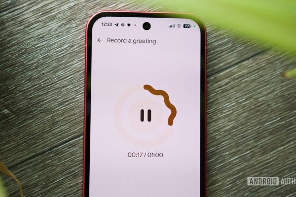 La funzione “Take a Message” di Pixel si espande in un nuovo mercato importante