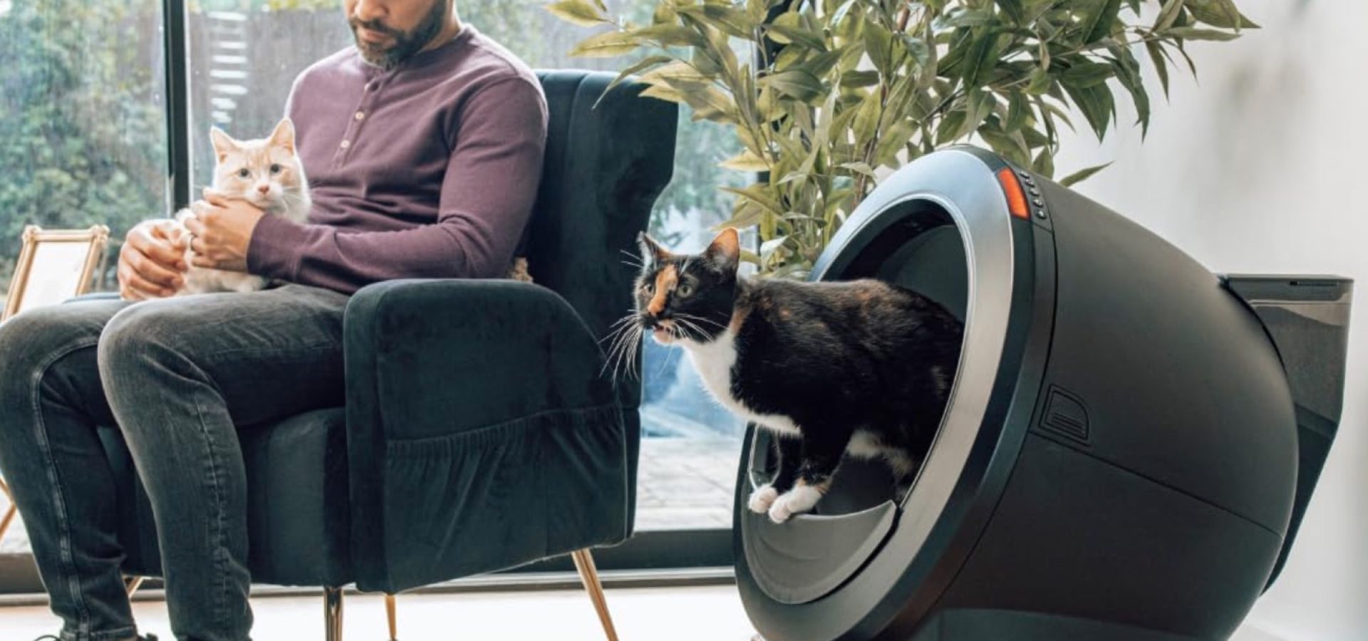 Vacanze con il gatto a casa: soluzioni intelligenti per un viaggio sereno