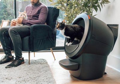 Vacanze con il gatto a casa: soluzioni intelligenti per un viaggio sereno