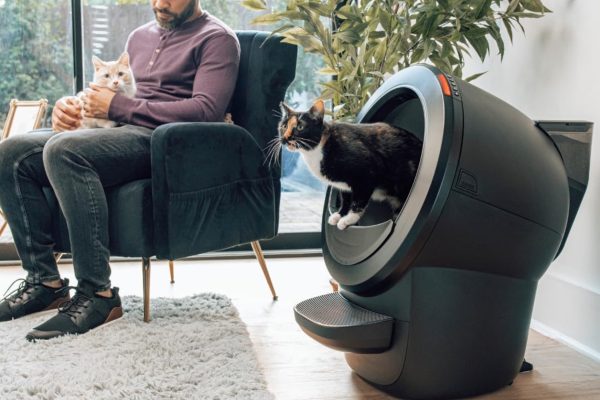 Vacanze con il gatto a casa: soluzioni intelligenti per un viaggio sereno