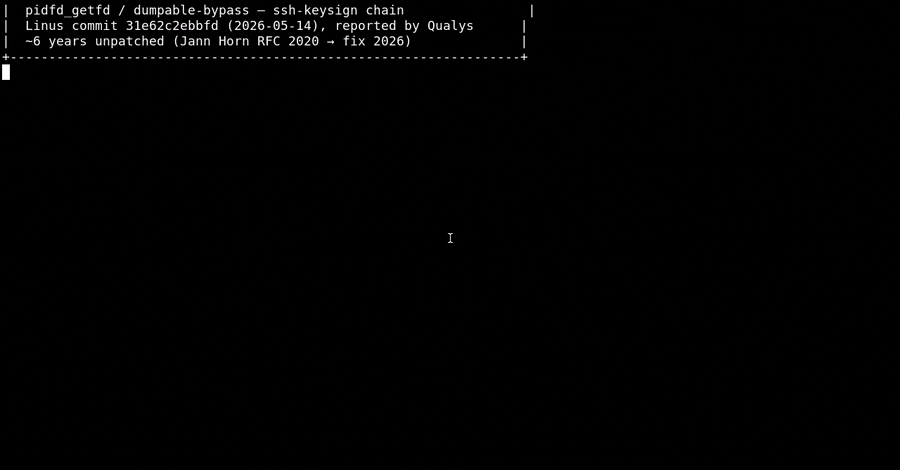 Vulnerabilità nel Kernel Linux: Esecuzione di Comandi Root su Distro Principali