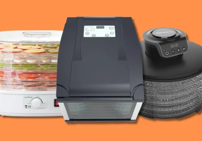 I migliori essiccatori per ridurre gli sprechi alimentari e dare vita a nuove creazioni culinarie