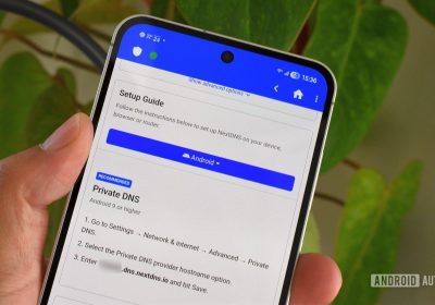 Sondaggio: Molti lettori consigliano NextDNS, ma pochi lo utilizzano realmente