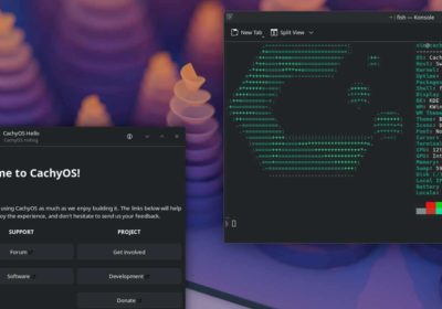 La distro Linux che supera Windows 11 nel gaming e potenzia Python
