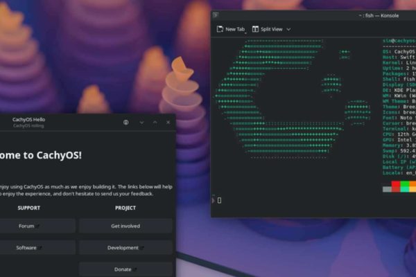 La distro Linux che supera Windows 11 nel gaming e potenzia Python