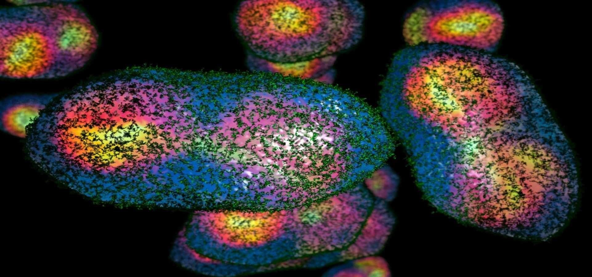 L’IA e il Bioterrorismo: Un Nuovo Allerta Globale sull’Accessibilità dei Rischi