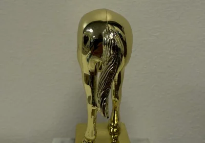 Il trofeo per il comportamento da “jackass” di Elon Musk