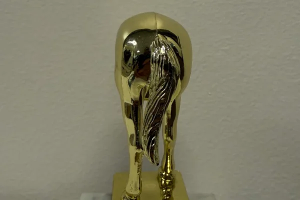 Il trofeo per il comportamento da “jackass” di Elon Musk