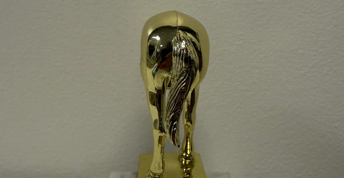 Il trofeo per il comportamento da “jackass” di Elon Musk