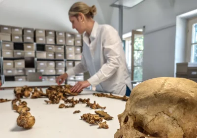 Rivelazioni delle analisi paleogenetiche: la caduta dell’Impero romano d’Occidente fu un processo graduale e pacifico