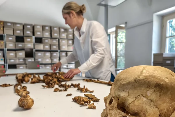 Rivelazioni delle analisi paleogenetiche: la caduta dell’Impero romano d’Occidente fu un processo graduale e pacifico