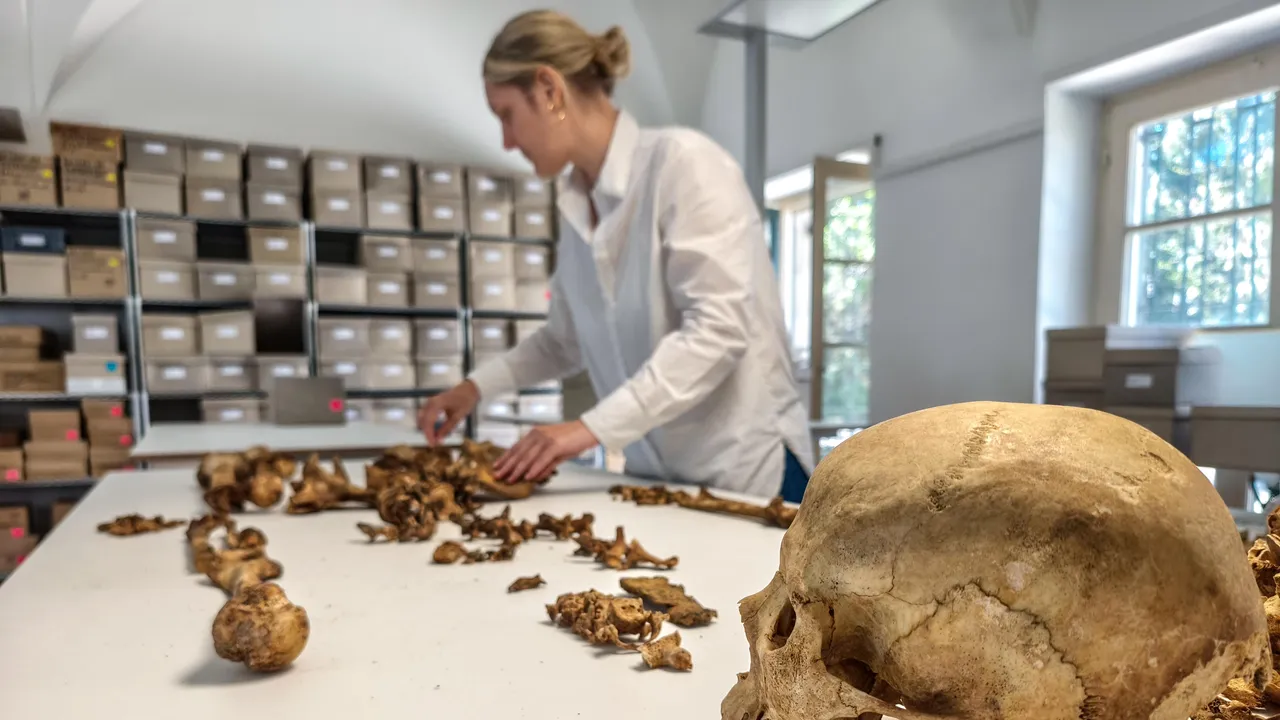Rivelazioni delle analisi paleogenetiche: la caduta dell’Impero romano d’Occidente fu un processo graduale e pacifico