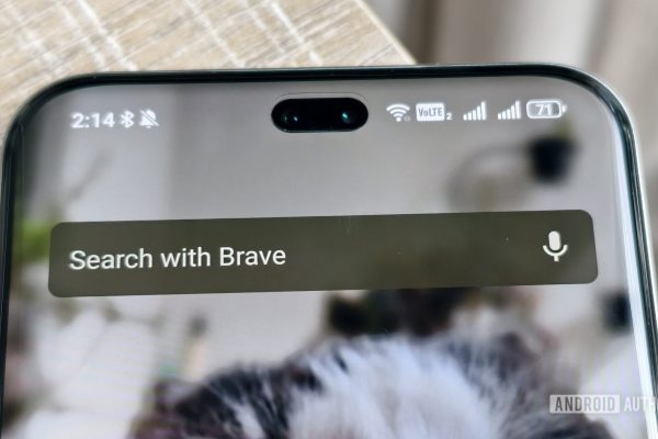 Sondaggio: La funzione del browser Android che i lettori non possono fare a meno di utilizzare