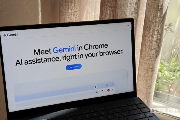 Google risolve il problema del download del file pesante weights.bin in Chrome