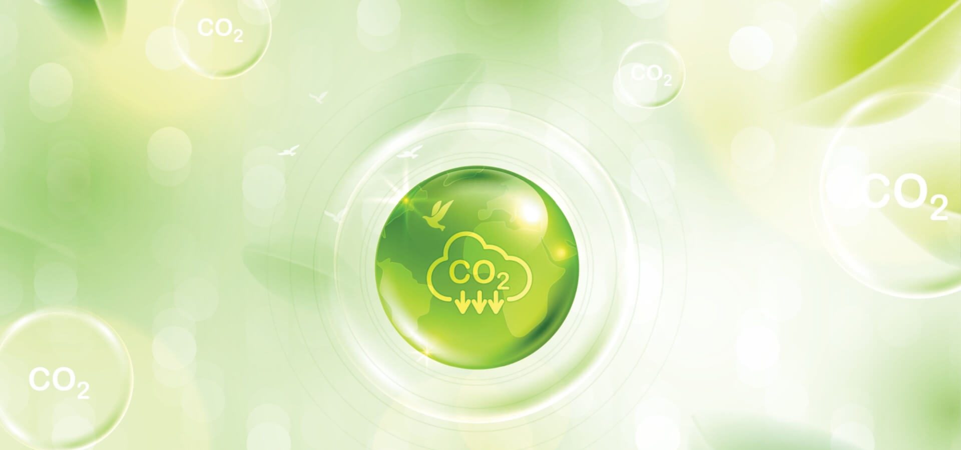 Crediti di CO2 per le Aziende: SBTI Annuncia Novità in Arrivo!