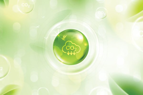 Crediti di CO2 per le Aziende: SBTI Annuncia Novità in Arrivo!