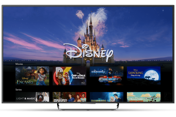 Scopri le Migliori Serie su Disney Plus a Solo 5,99 Euro Quest’Estate!
