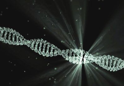 Il DNA dei Pozzi Toscani Rivela i Segreti della Storia del Vino