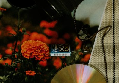 Leggere CD con radiografie sul PC