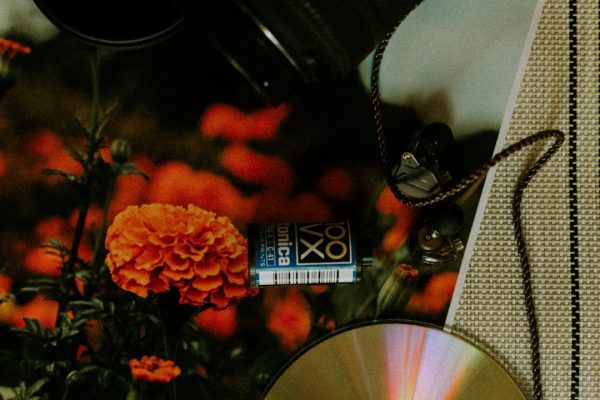 Leggere CD con radiografie sul PC