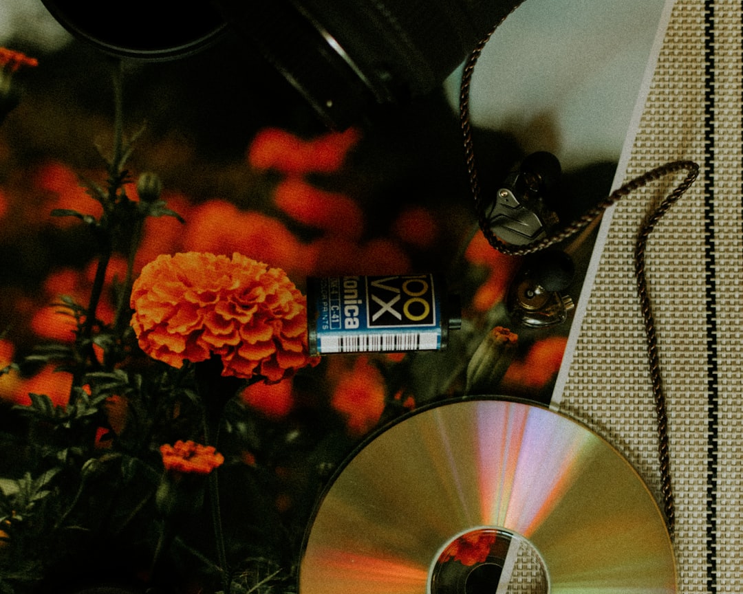 Leggere CD con radiografie sul PC