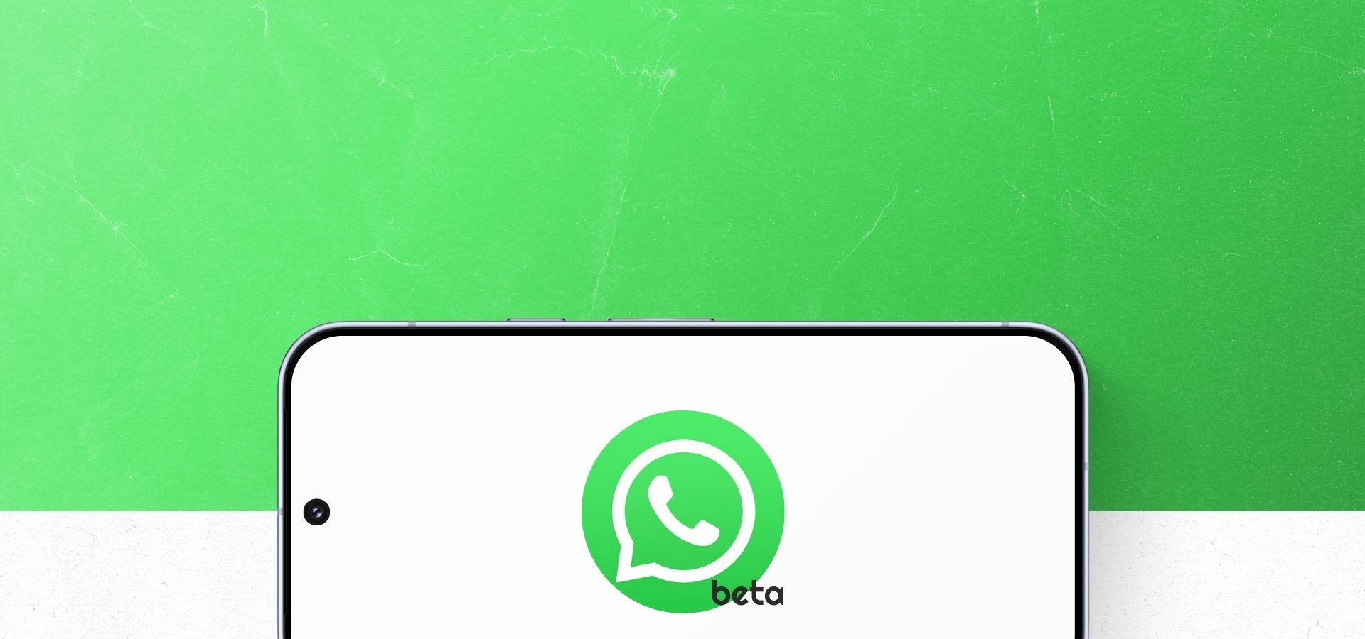 WhatsApp Beta prova una nuova animazione per i messaggi a 19€