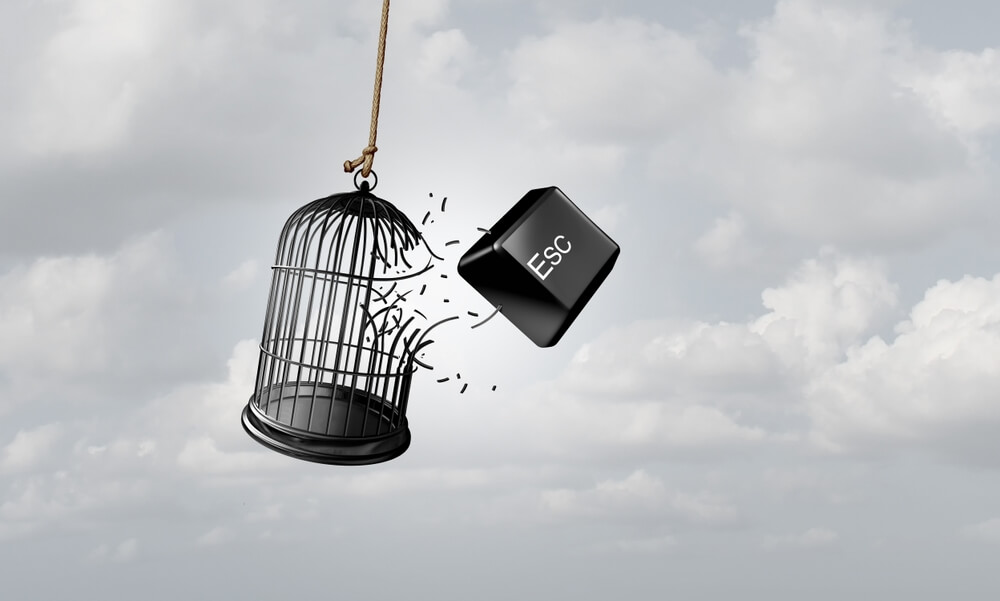 La Libertà Online Era Solo un’Illusione: Come Costruirne una Reale