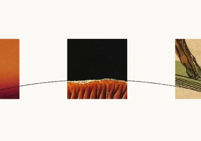 Anthropic svela Haiku 5.5: Risparmio del 75% e prestazioni elevate