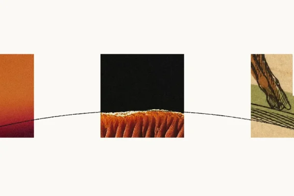 Anthropic svela Haiku 5.5: Risparmio del 75% e prestazioni elevate