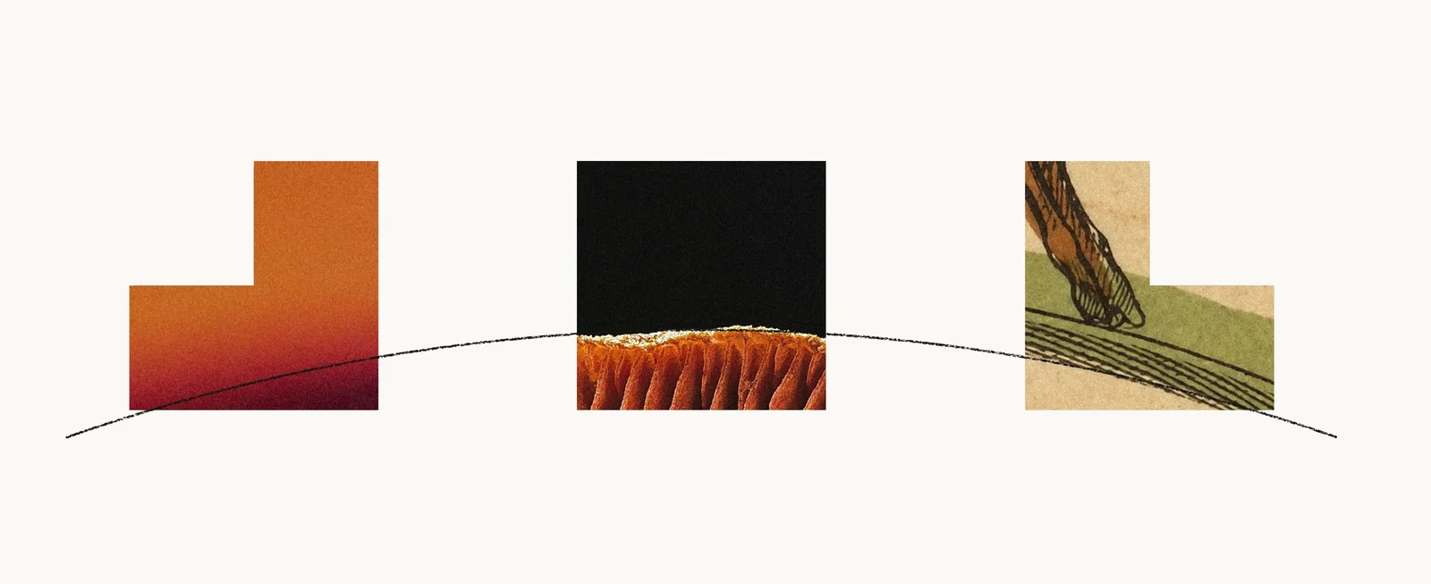 Anthropic svela Haiku 5.5: Risparmio del 75% e prestazioni elevate